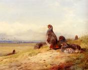 Red Partridges - 阿奇博尔德·索伯恩